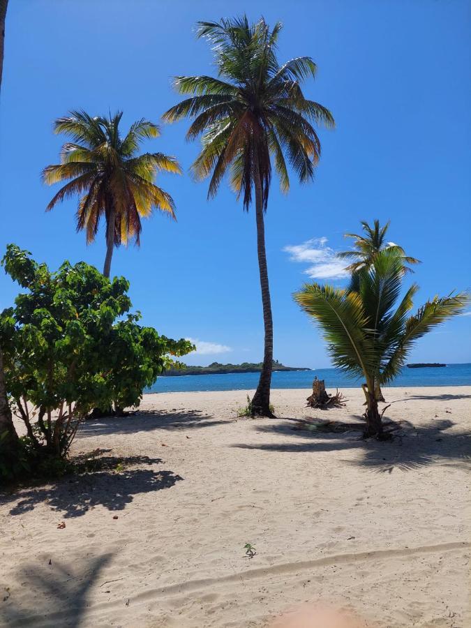 Cabana Playa Cambiaso Puerto Plata Exterior photo